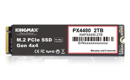 M.2 2280 PCIe NVMe Gen4x4 固態硬碟 PX4480